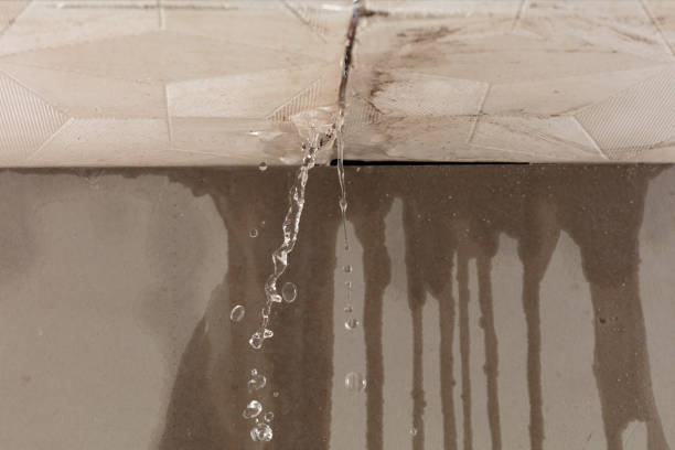 Professional Water Damage Inspection technician working in Richmond, TX